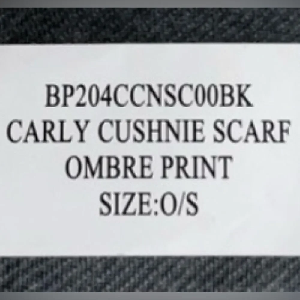 NWT-Cushnie One Size Grey Horizon Ombre Scarf Women's Rachel Zoe Curateur Box